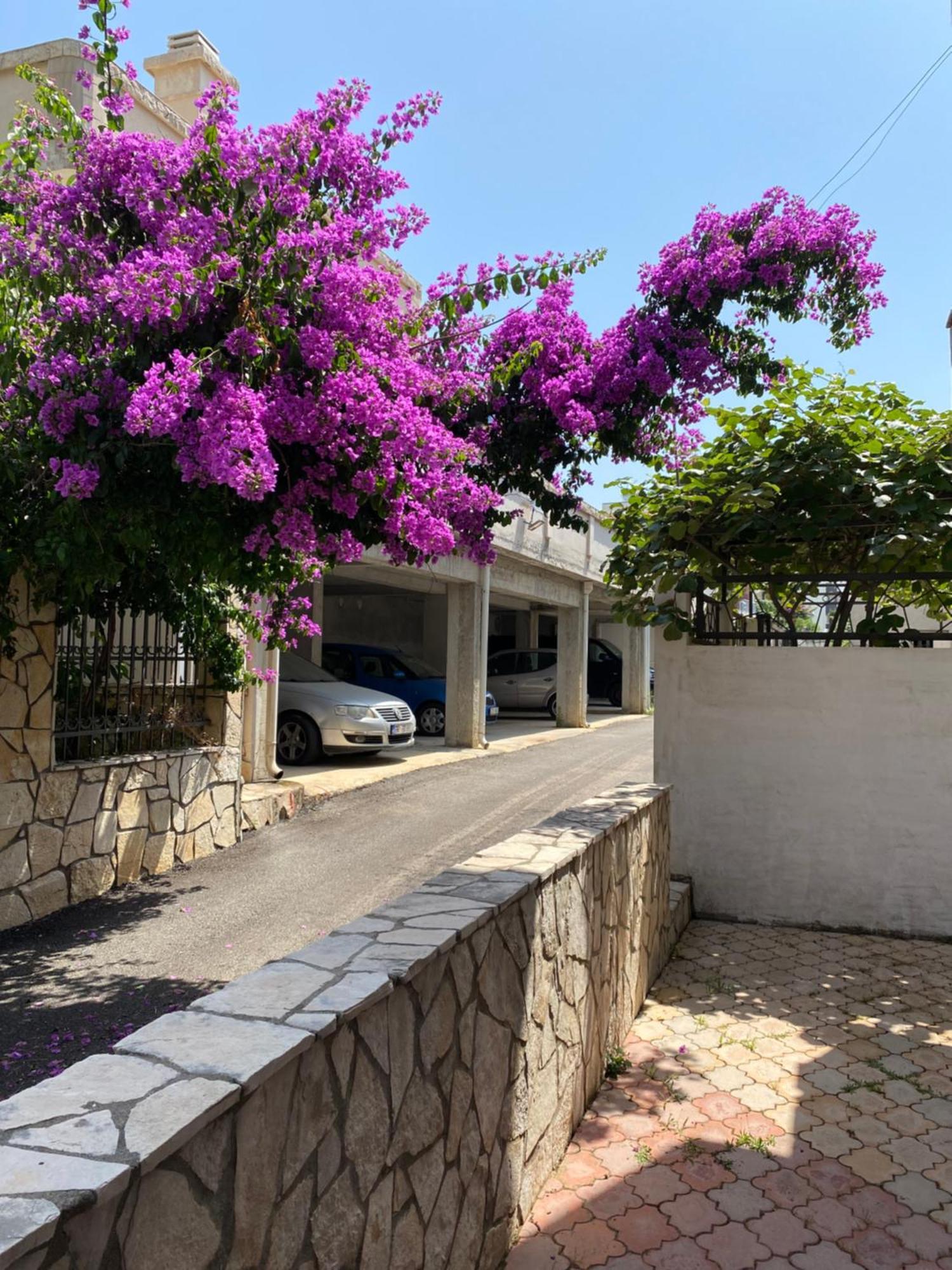 Apartments Vila Kurtagic Dobra Voda Kültér fotó